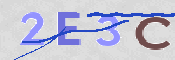 キャプチャ画像