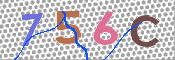 キャプチャ画像